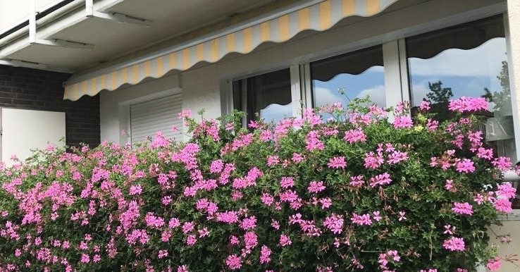 8b458b19-5553-411f-b910-d5a1edad08e6