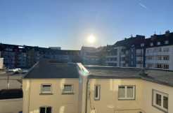 IMG_8517